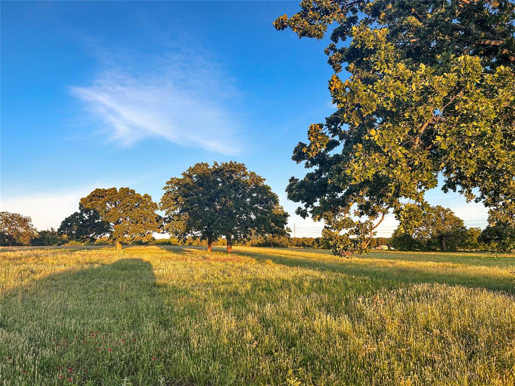 9150 Highway 6 Cisco, TX 76437 - Photo 13 of 26 View of yard