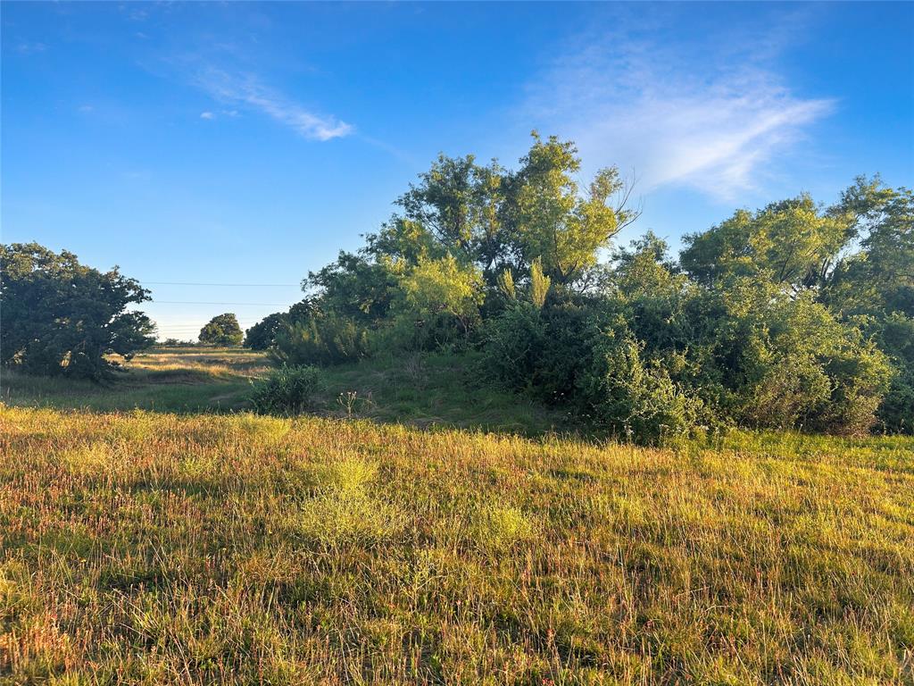9150 Highway 6 Cisco, TX 76437 - Photo 15 of 26 View of undeveloped land