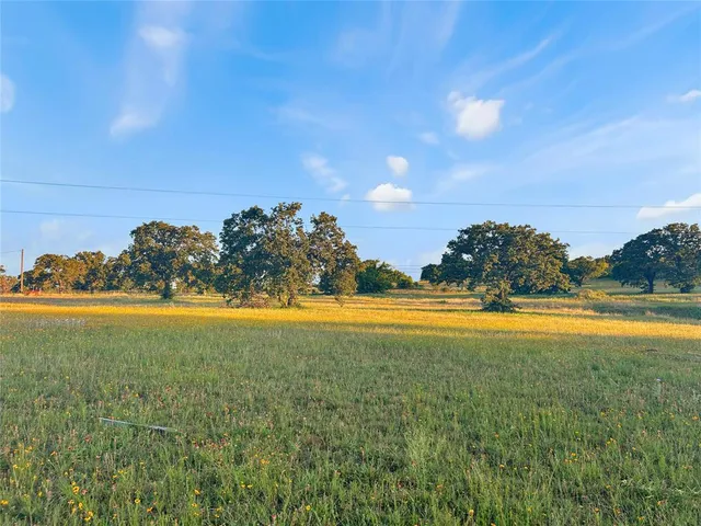 a view of a field of grass and tree