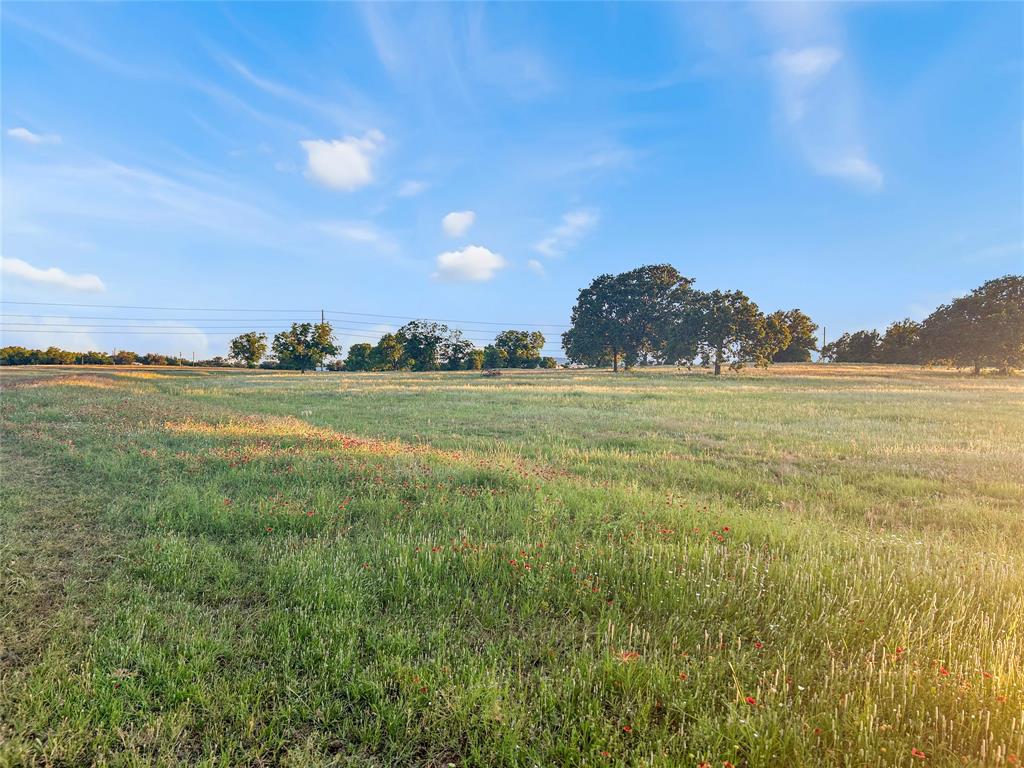 9150 Highway 6 Cisco, TX 76437 - Photo 18 of 26 View of yard with a rural view