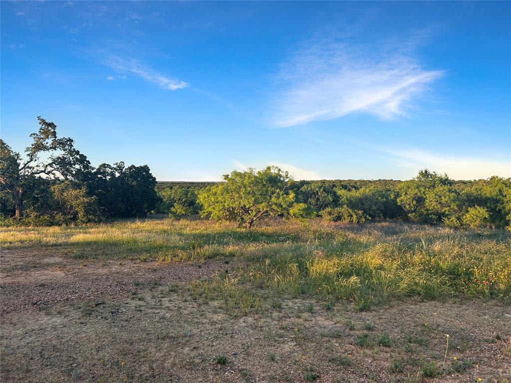 9150 Highway 6 Cisco, TX 76437 - Photo 19 of 26 View of local wilderness featuring rural landscape
