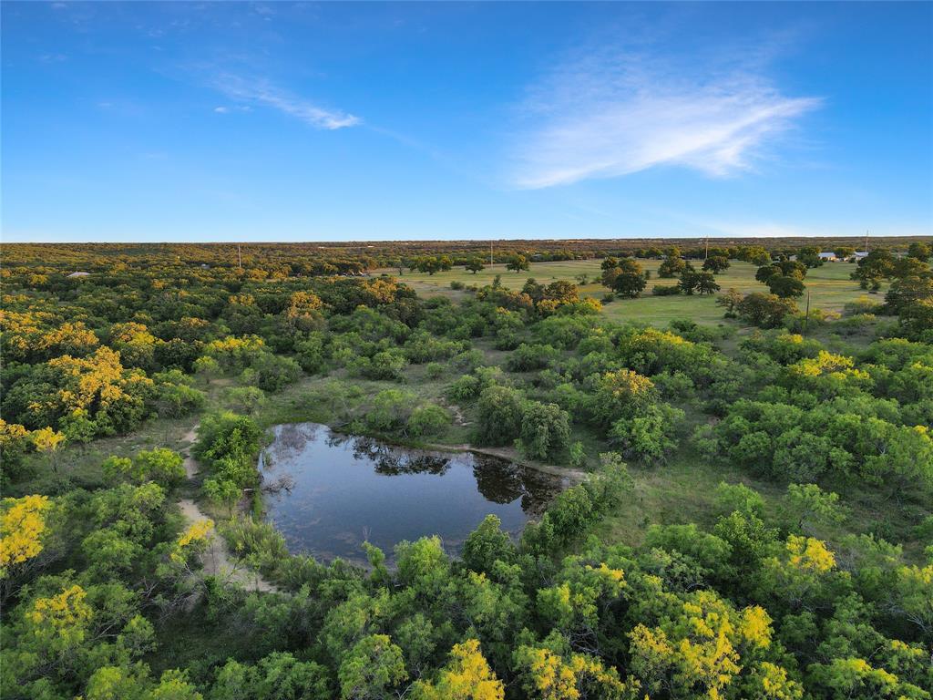 9150 Highway 6 Cisco, TX 76437 - Photo 5 of 26 Bird's eye view of a nearby body of water and a forest