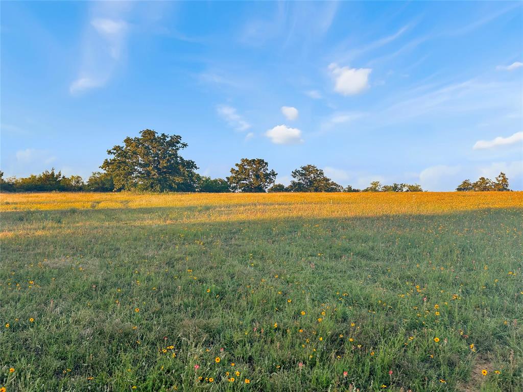 9150 Highway 6 Cisco, TX 76437 - Photo 10 of 26 View of undeveloped land with rural landscape