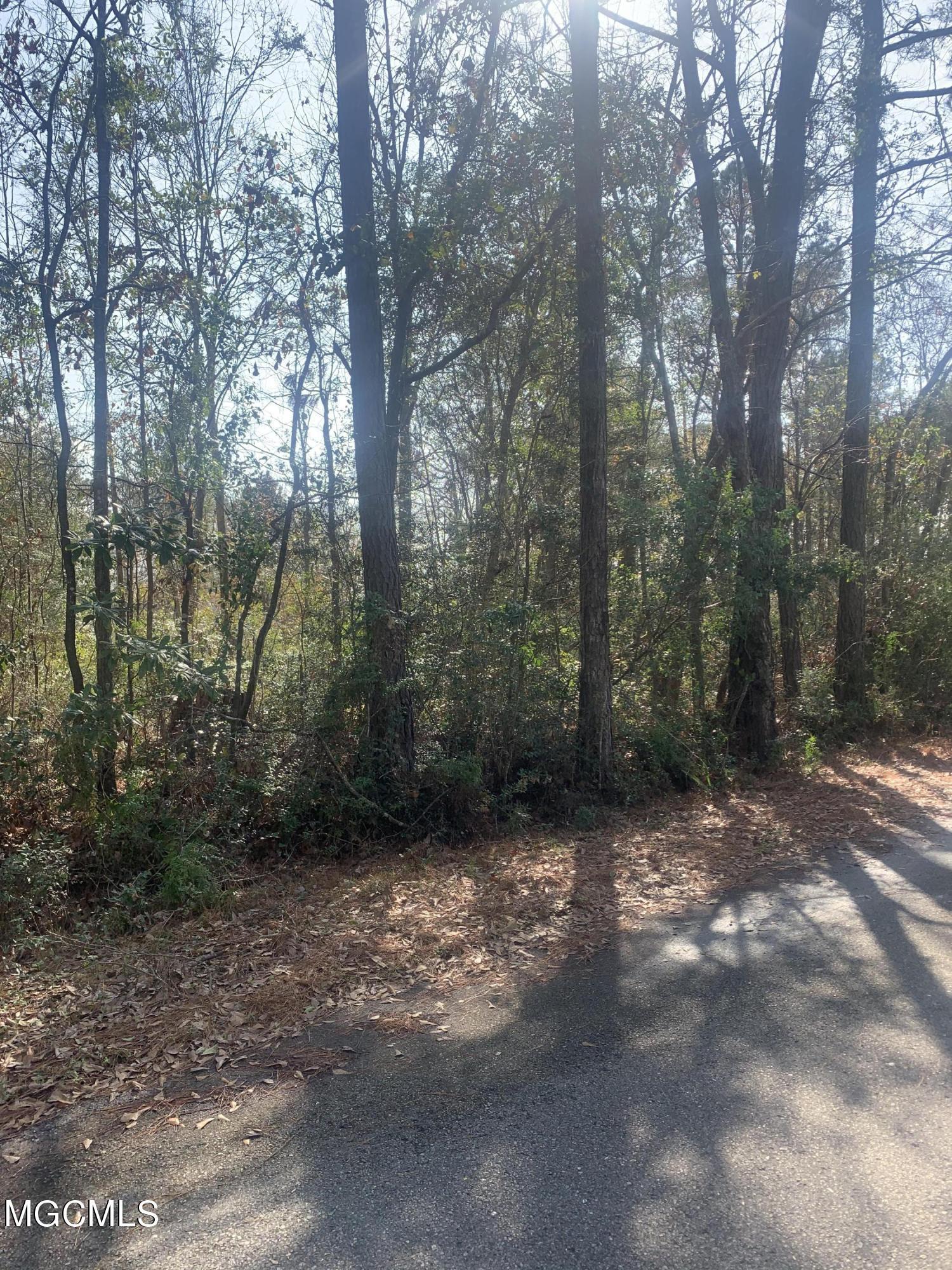 0 Seahorse Road Gautier, MS 39553 - Photo 1 of 3 EC5BBFE6-32BF-4B15-8B1D-9747E075D18B