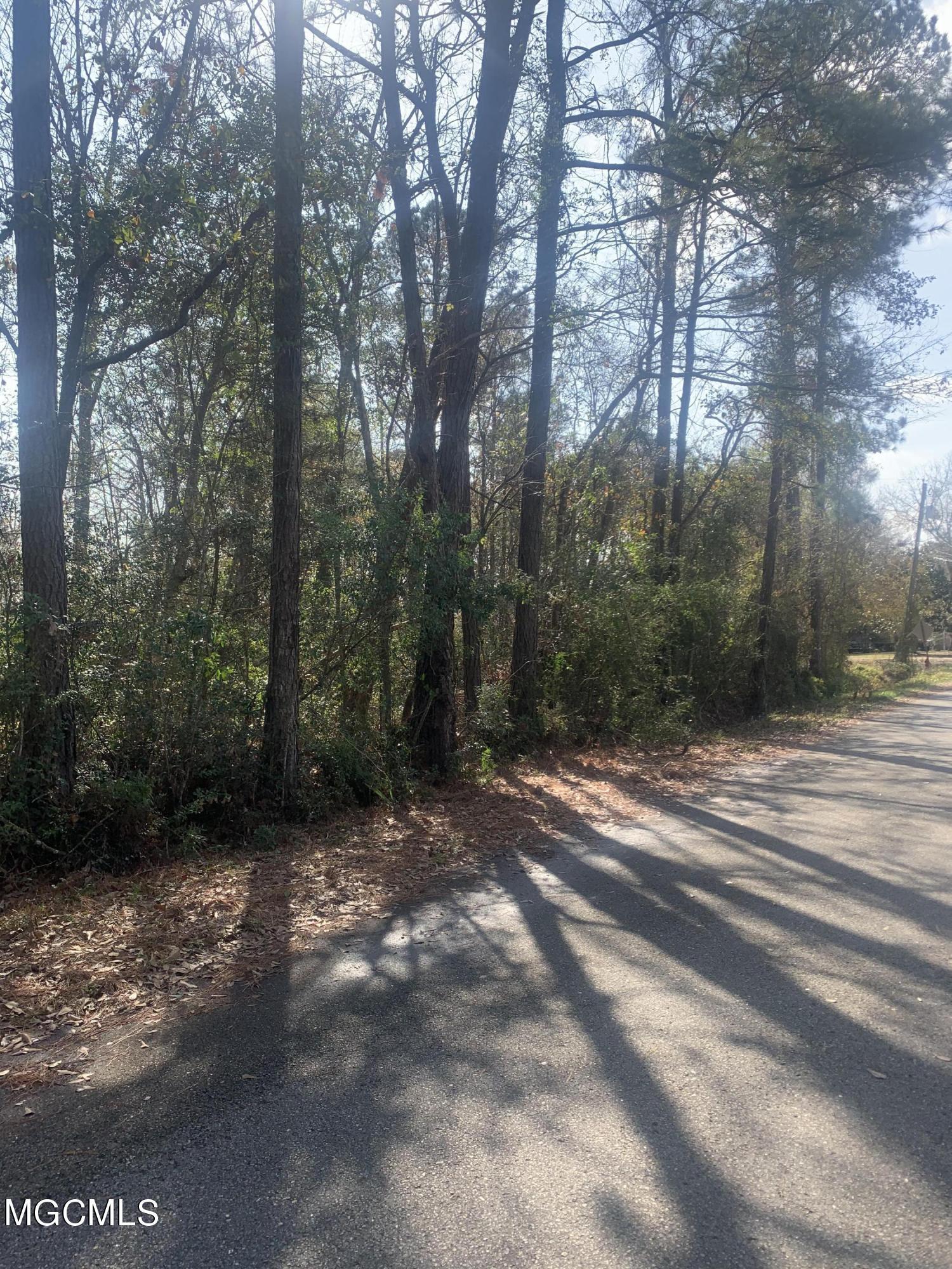 0 Seahorse Road Gautier, MS 39553 - Photo 2 of 3 6EE2FDBE-9E4E-4FB2-BAB3-064012FA0EDA