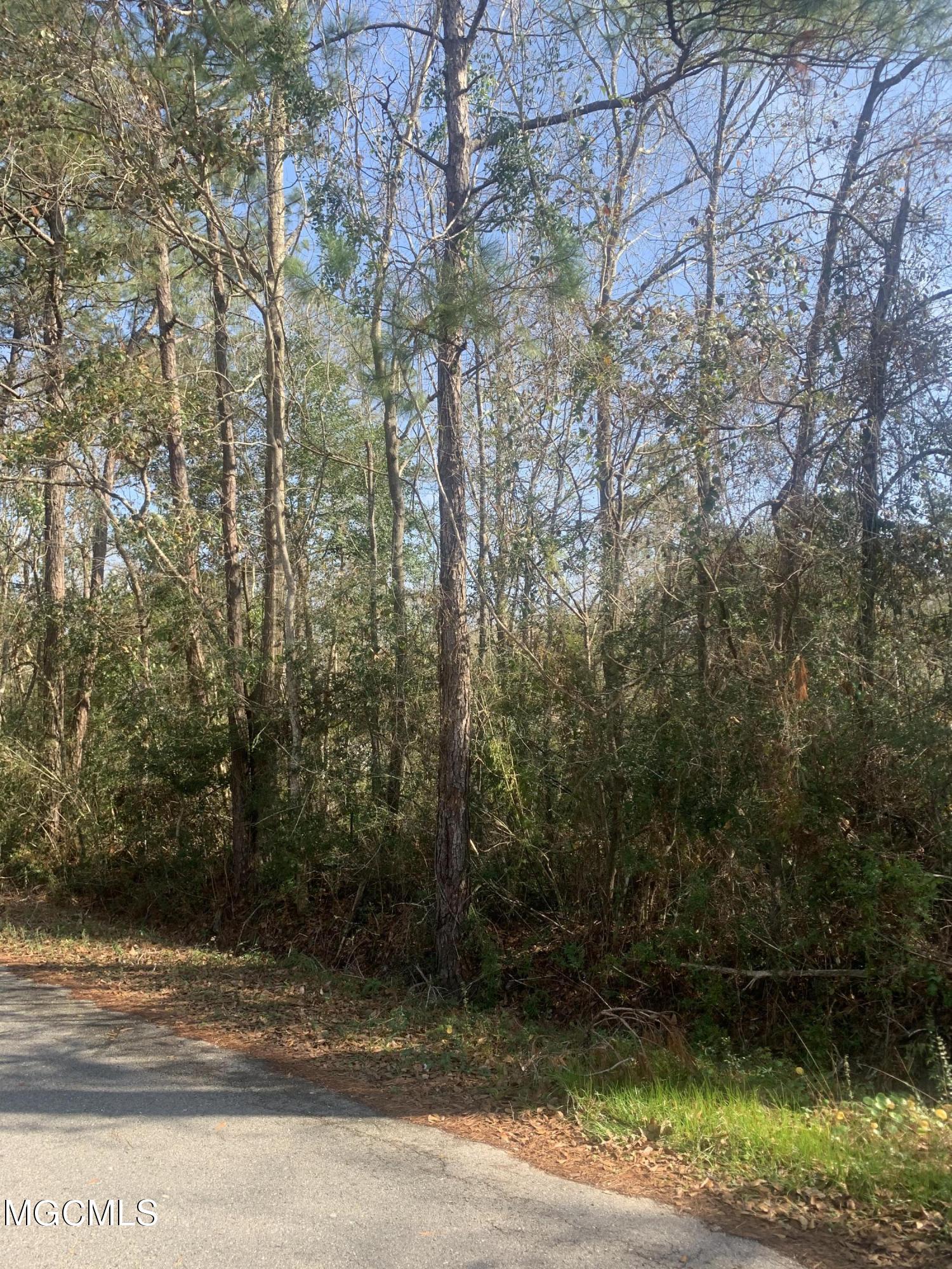 0 Seahorse Road Gautier, MS 39553 - Photo 3 of 3 3B764EF8-738C-4AB0-A54B-DF7BFF02B499
