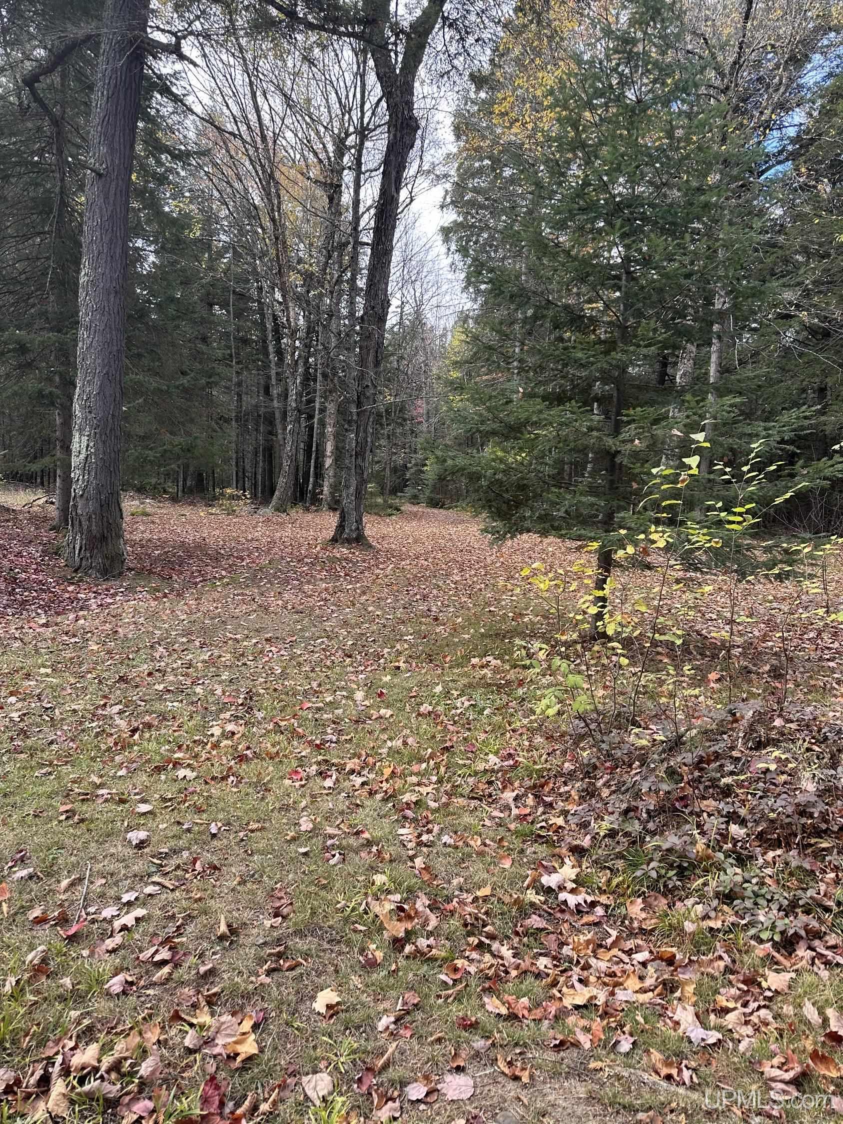 Tbd Tbd Cable Lake Road Iron River, MI 49935 - Photo 16 of 16