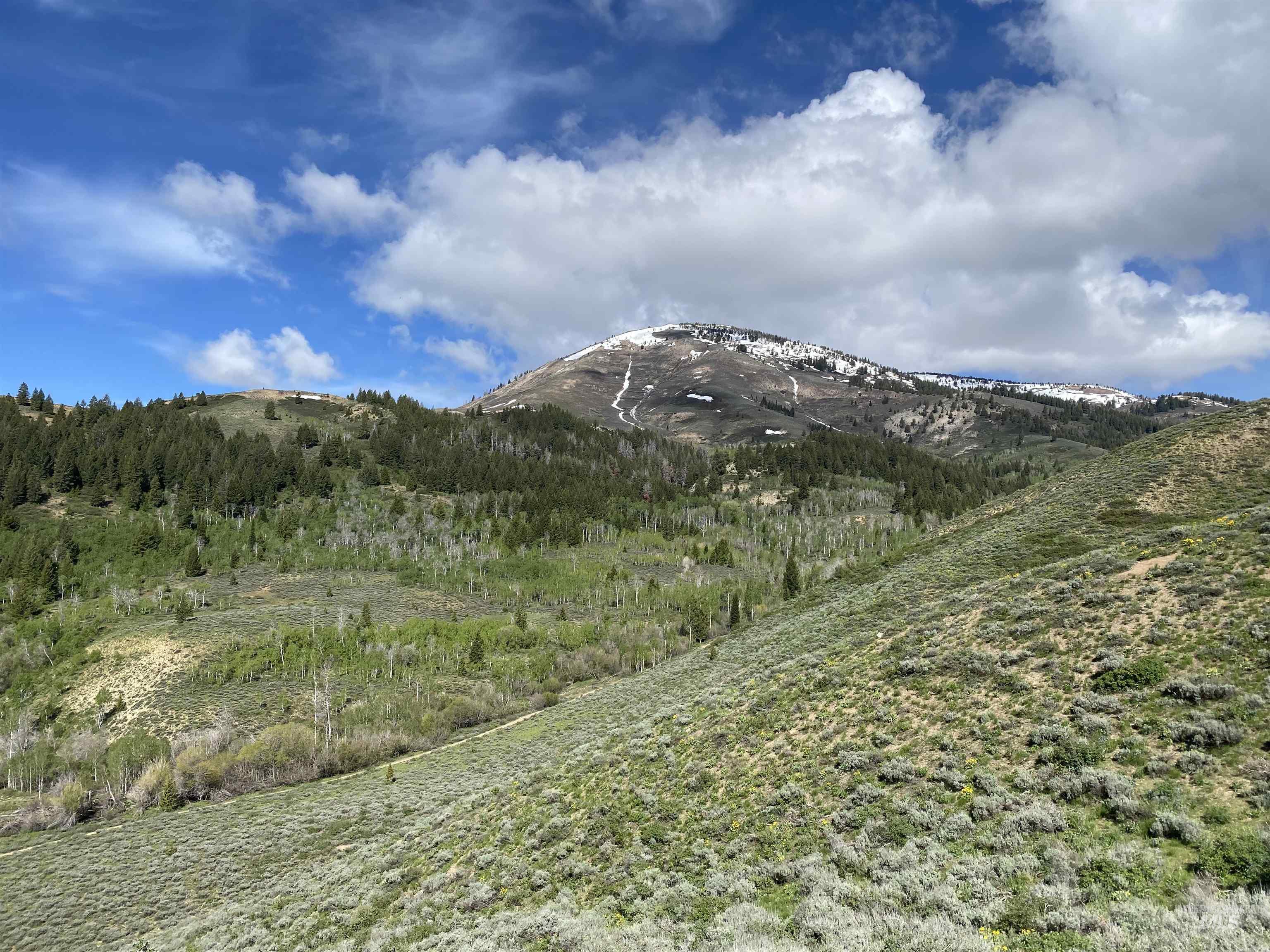 2049 Fleck Summit Road Fairfield, ID 83327 - Photo 39 of 47