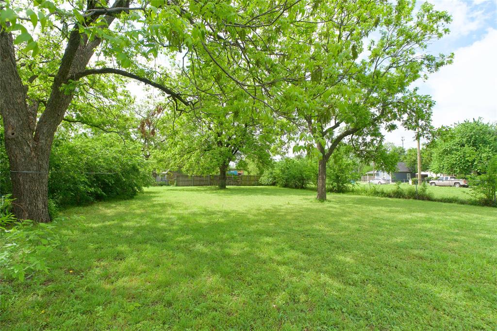 714 Potter Street Gainesville, TX 76240 - Photo 4 of 12 Expansive backyard with a lush green lawn and mature trees, providing natural shade