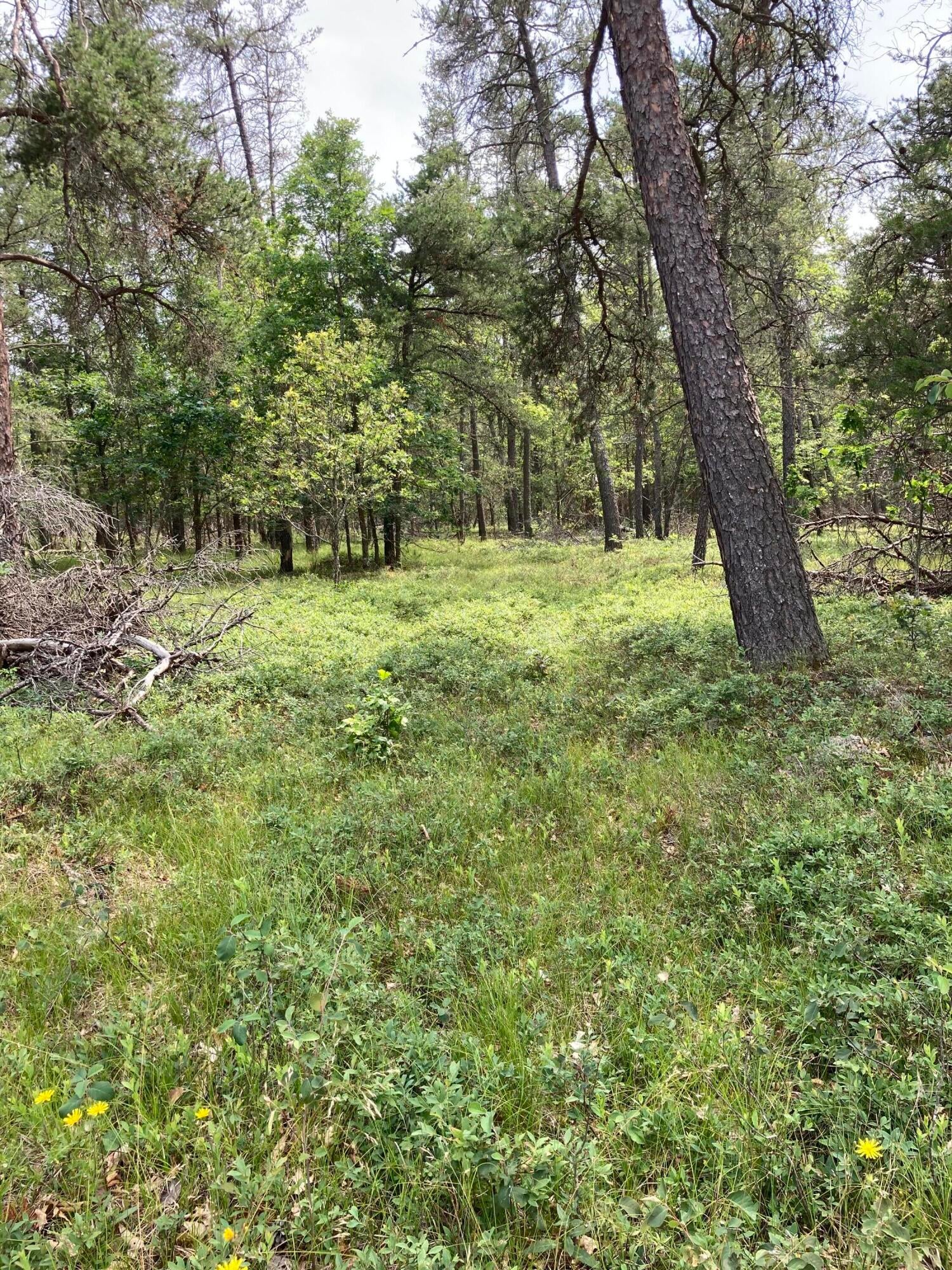 658 Shadow Land Road Grayling, MI 49738 - Photo 36 of 37 Gallery Image 36
