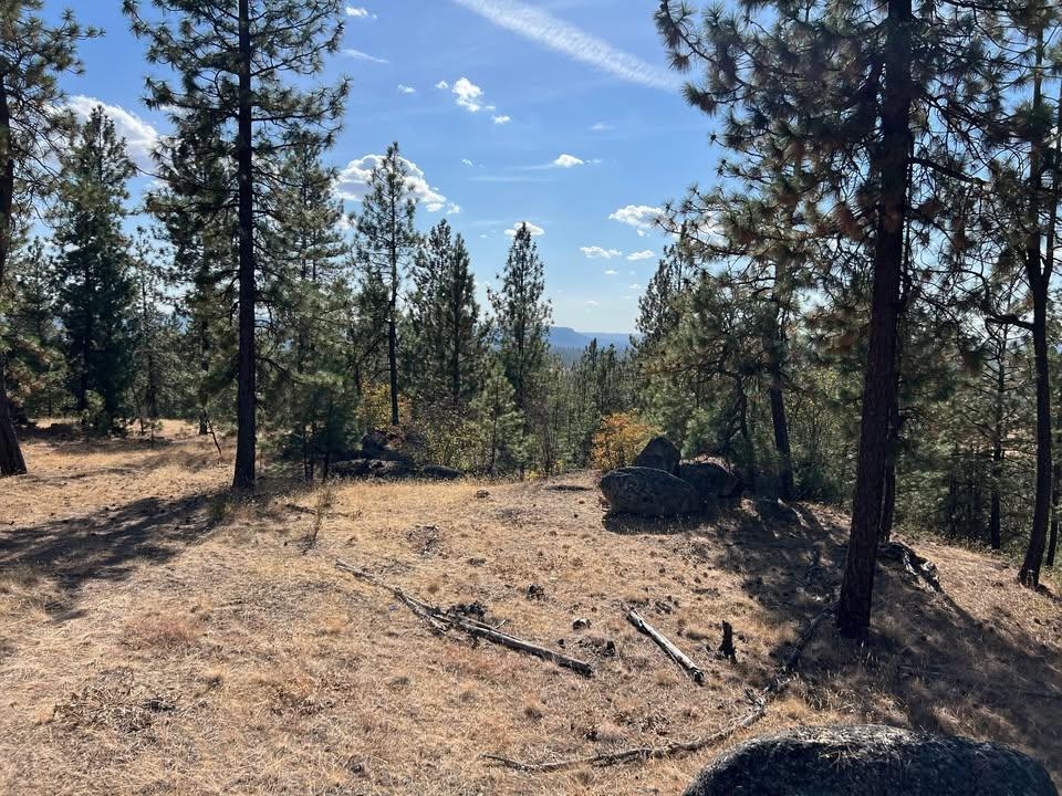 Tbd North Corkscrew Canyon Road, Unit PARCEL B Tumtum, WA 99034 - Photo 5 of 13