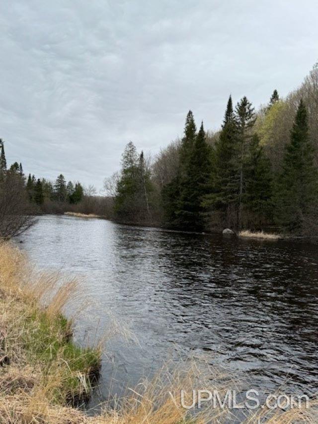 Tbd River Country Road Iron River, MI 49935 - Photo 5 of 10