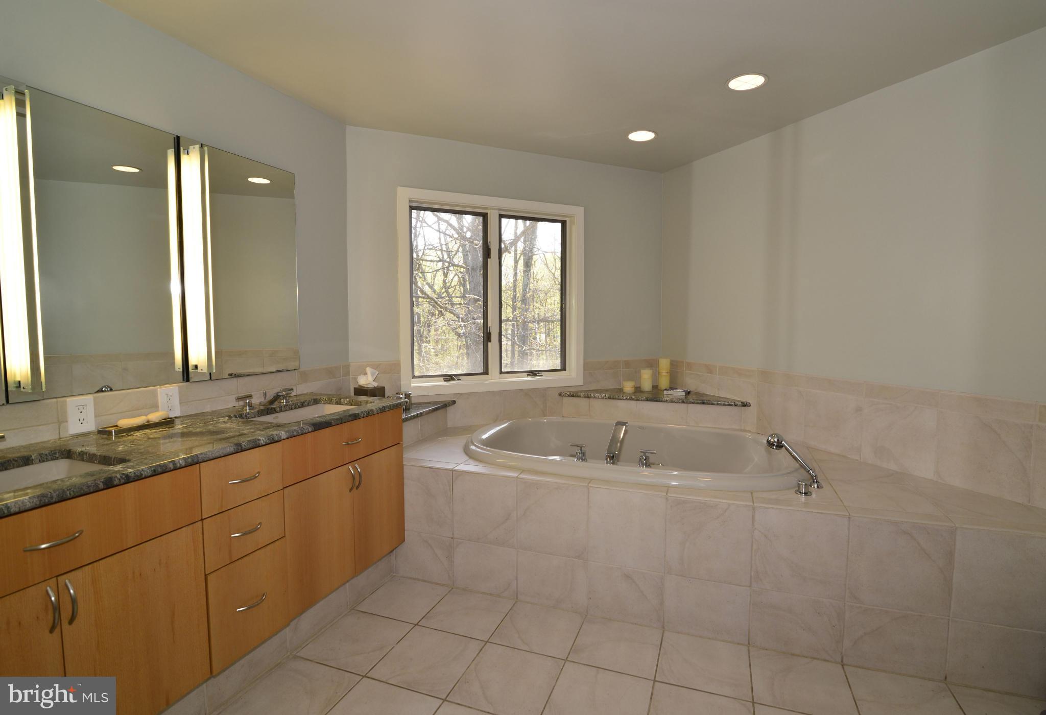 1596 North Village Road Reston, VA 20194 - Photo 22 of 29 Bath (Master)