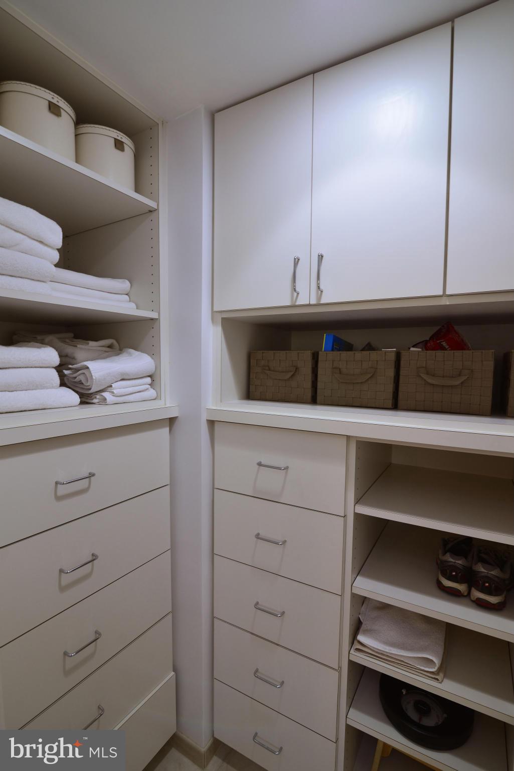 1596 North Village Road Reston, VA 20194 - Photo 24 of 29 Expansive Linen Closet