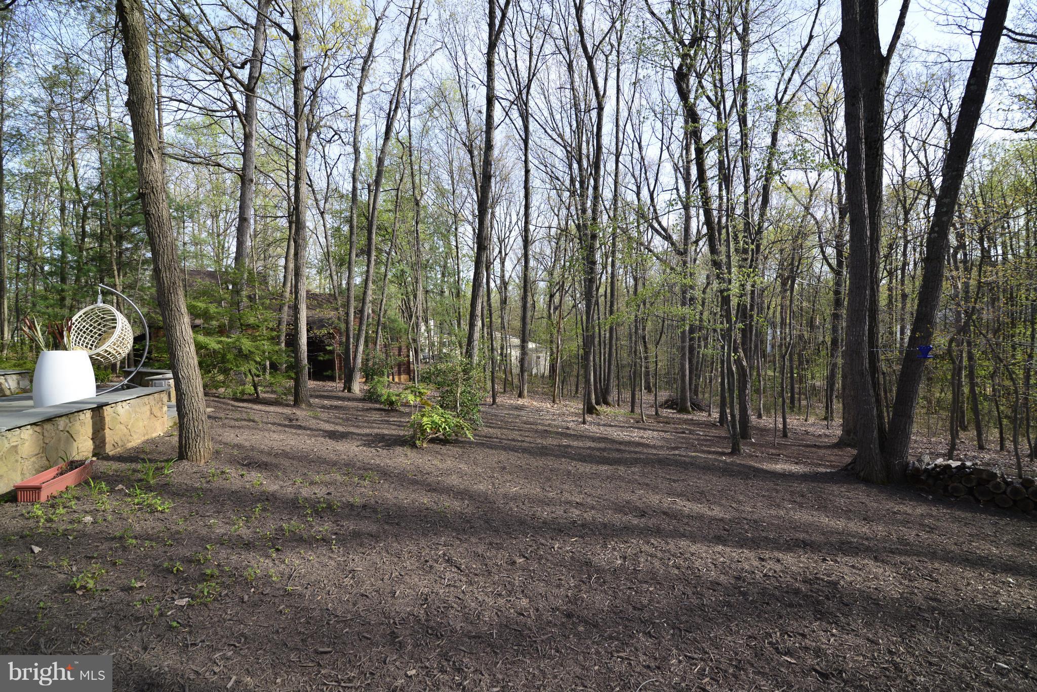 1596 North Village Road Reston, VA 20194 - Photo 4 of 29 Back Yard view