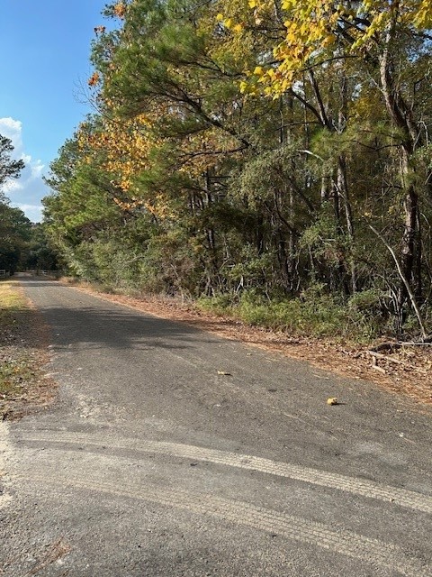 0 Cathey Lane Navasota, TX 77868 - Photo 3 of 8 a view of a yard with large trees