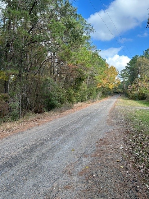 0 Cathey Lane Navasota, TX 77868 - Photo 5 of 8 a view of a field with an trees in the background