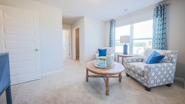 1241 Sambar Circle Grovetown, GA 30813 - Photo 24 of 30