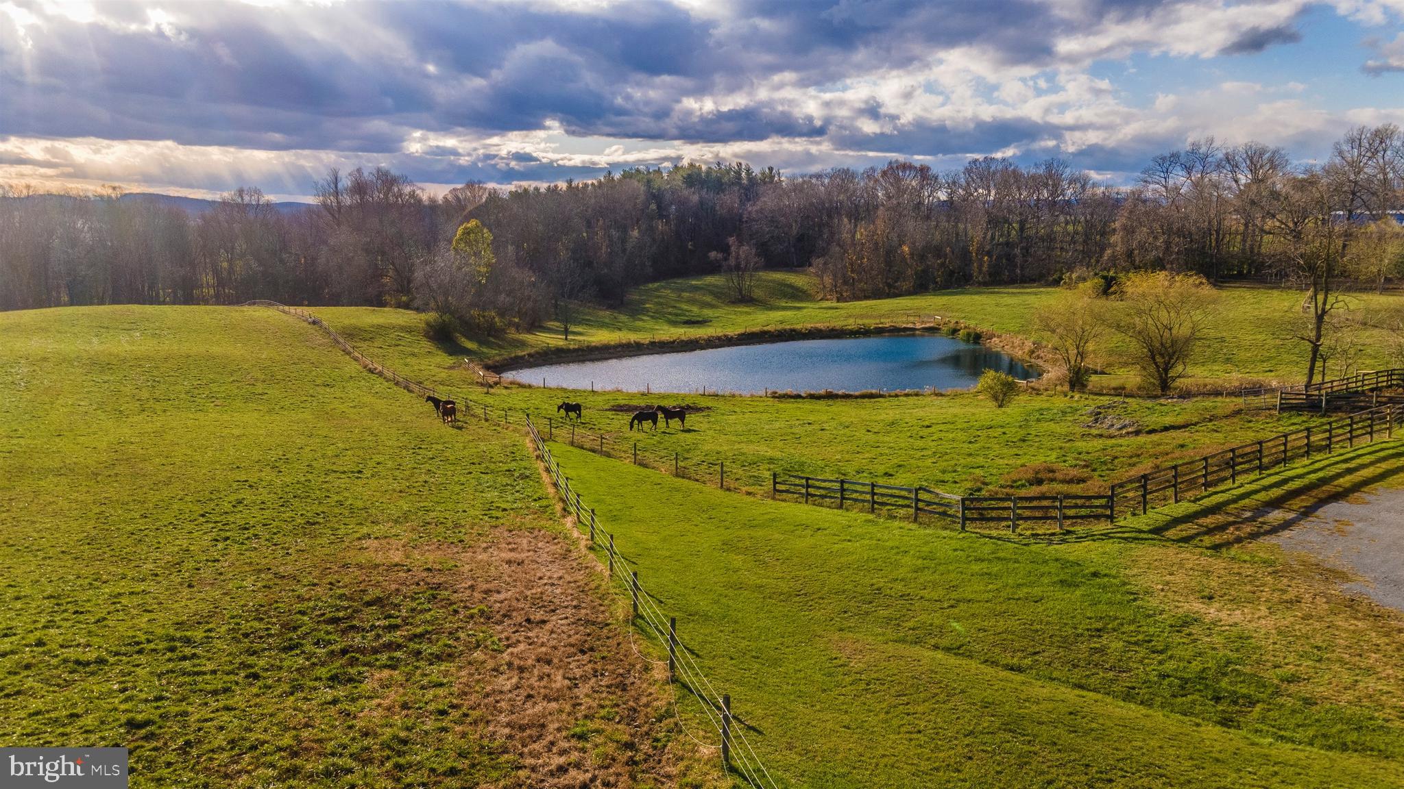 8501 Dollyhyde Road Mount Airy, MD 21771 - Photo 123 of 134 Gallery Image 123
