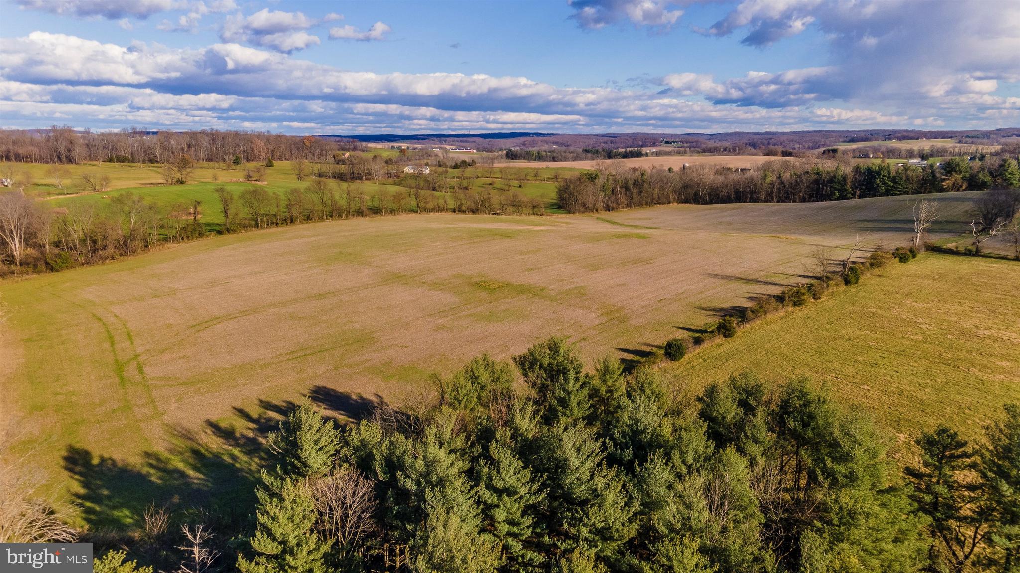 8501 Dollyhyde Road Mount Airy, MD 21771 - Photo 129 of 134 Gallery Image 129