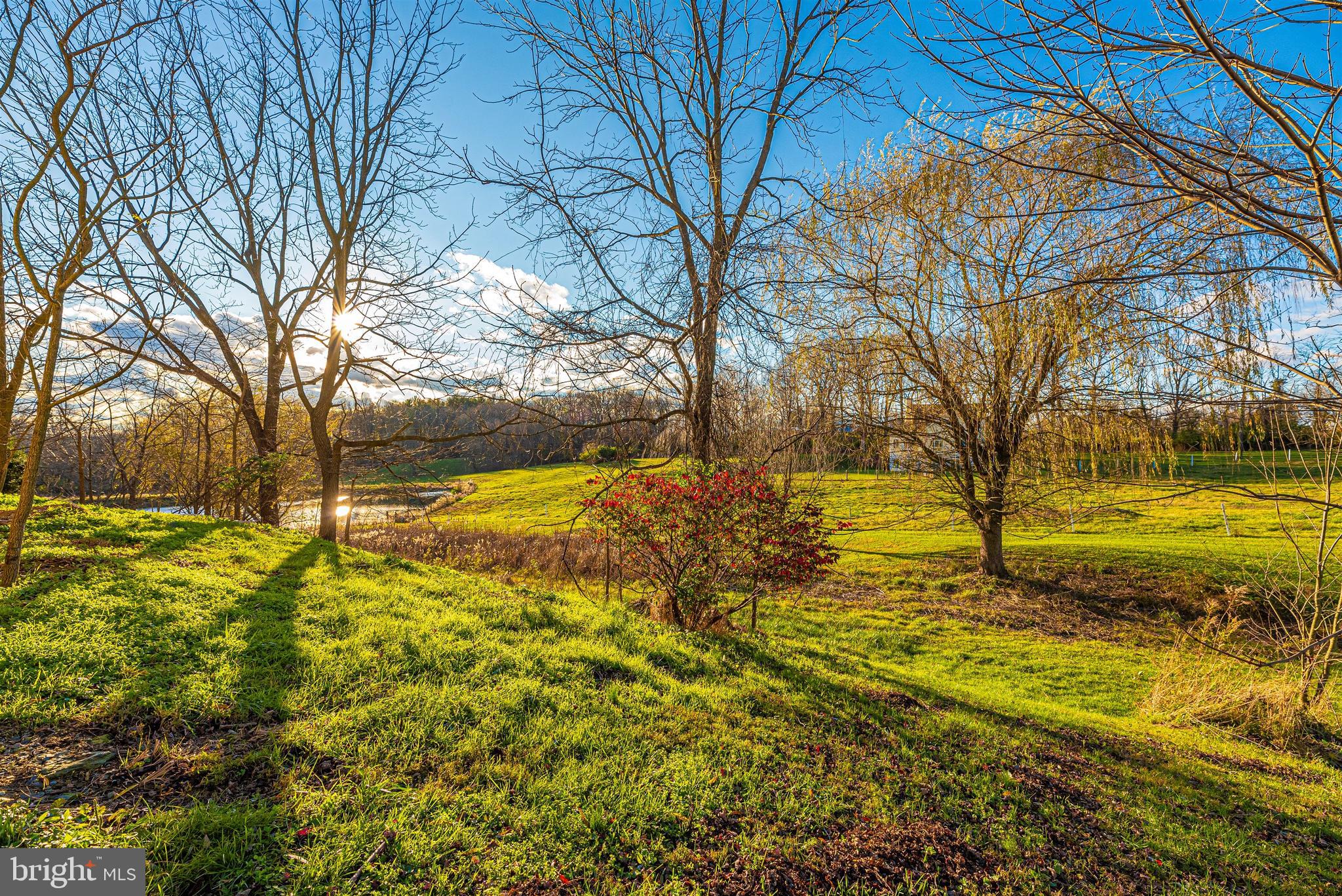 8501 Dollyhyde Road Mount Airy, MD 21771 - Photo 46 of 134 Gallery Image 46
