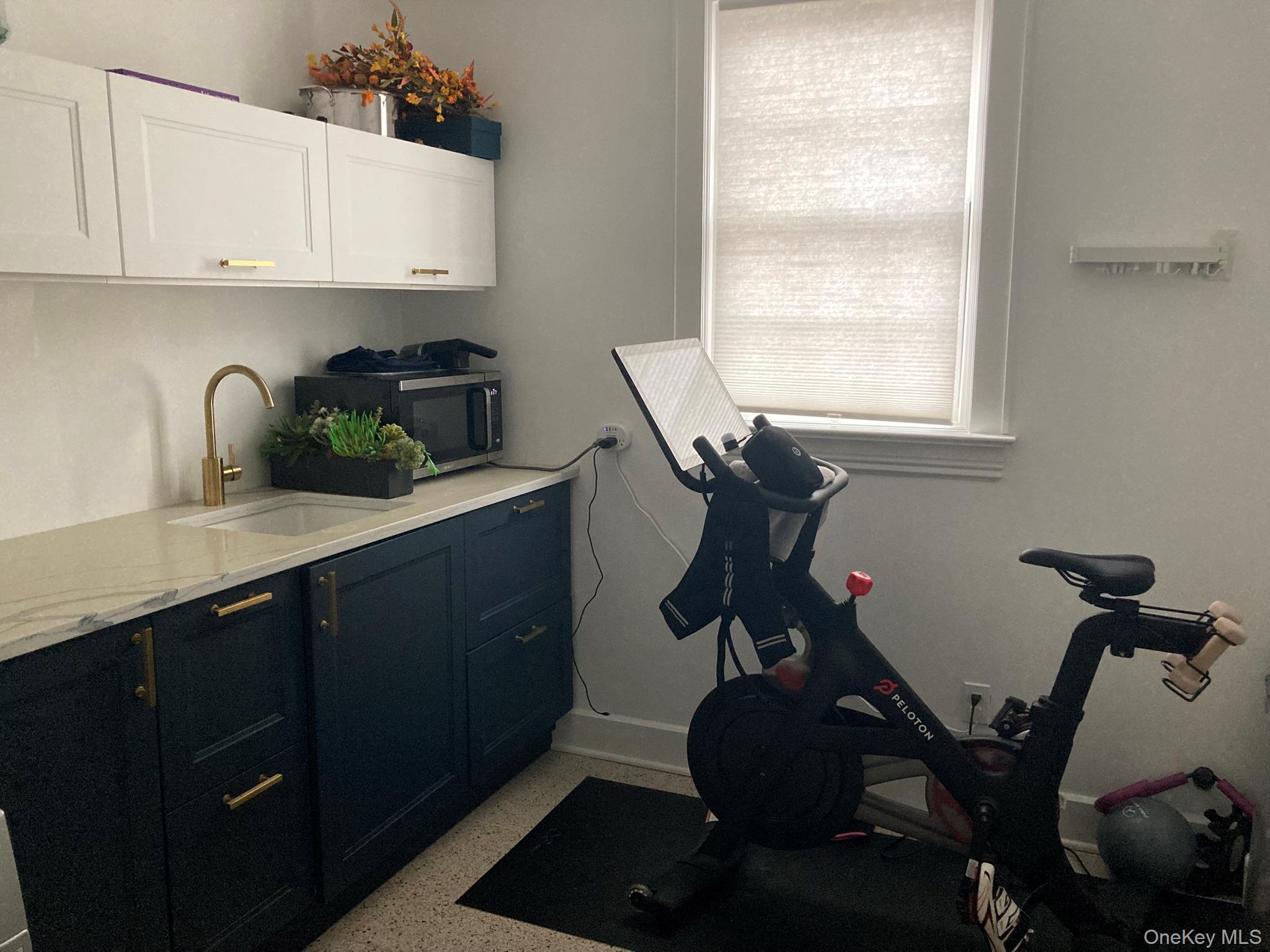 2 Red Ground Road Old Westbury, NY 11568 - Photo 18 of 19 Room for Exercising