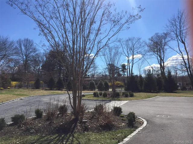 a view of yard with tree