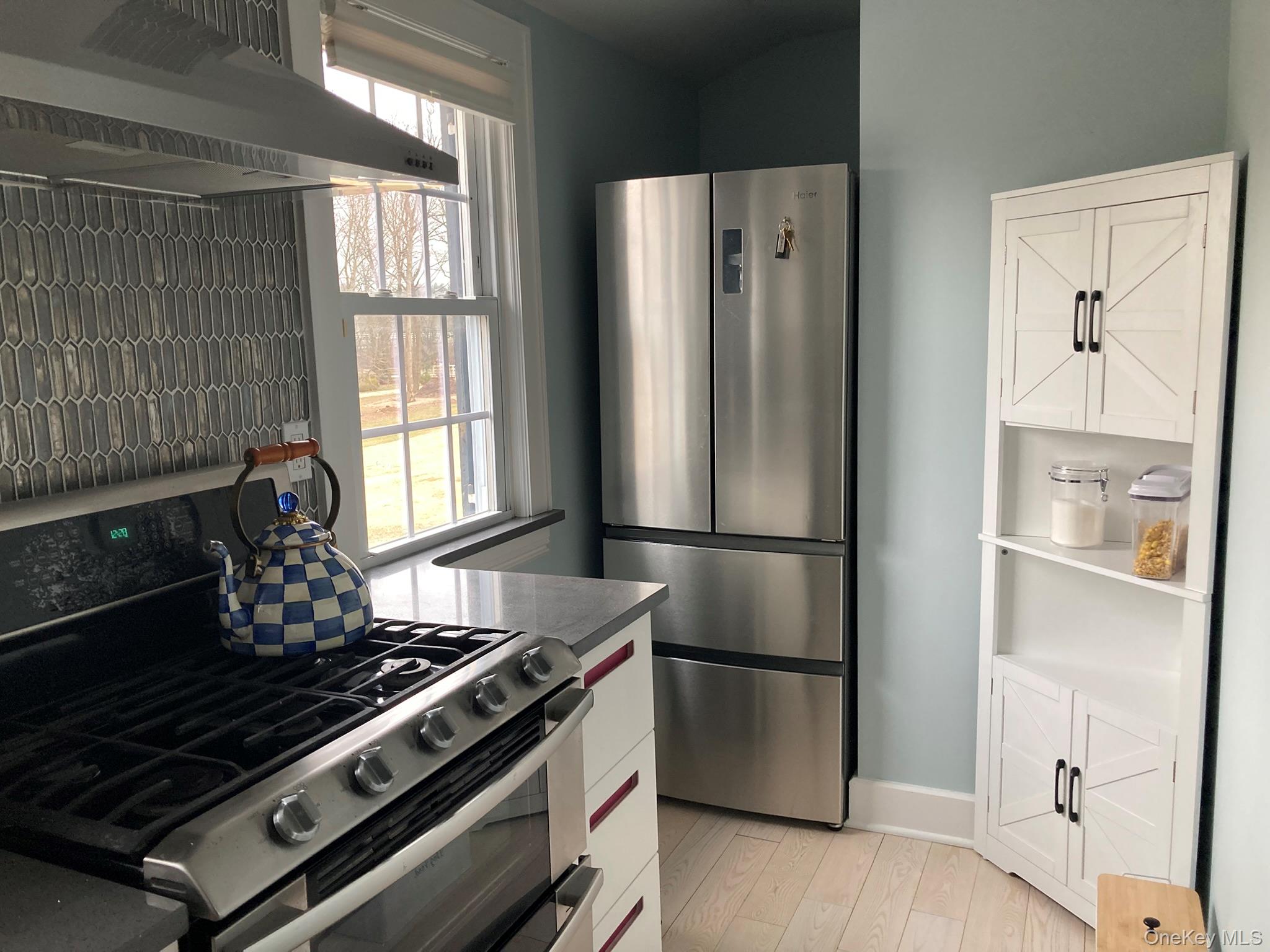 2 Red Ground Road Old Westbury, NY 11568 - Photo 7 of 19 Stainless Appliances