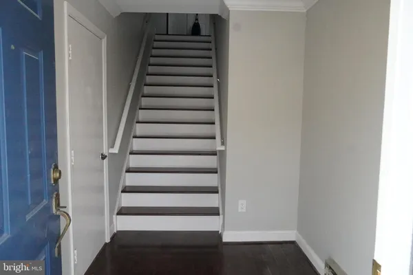 a view of a white house with a large tree