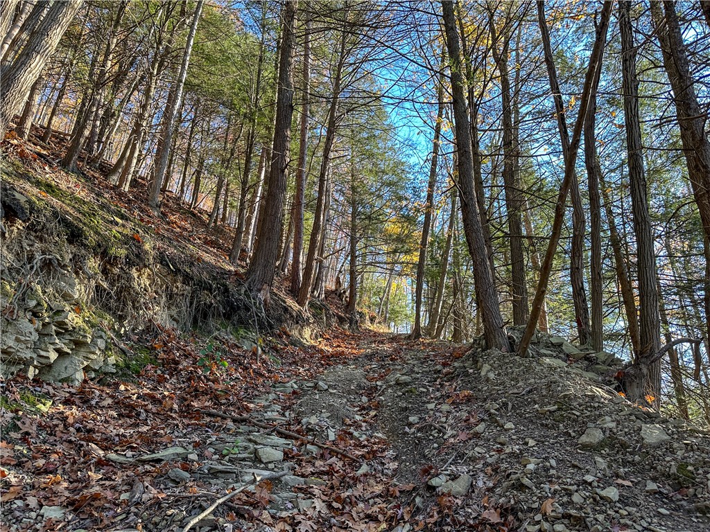 Vl Lot 3 Vl Road Cameron, NY 14819 - Photo 4 of 35