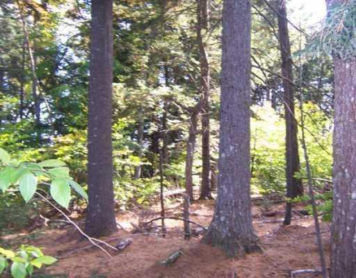 Lot 46 Beech Ridge Road Ellsworth, ME 04605 - Photo 5 of 8 Land.