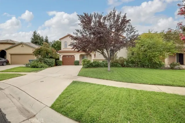 a view of a house with a big yard potted plants and large tree