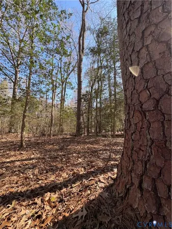 $28,500 | 0 Richardson Street, Hague, VA 22469