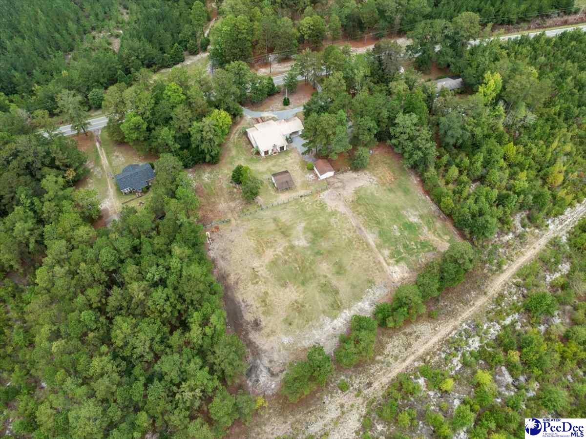1445 Bay Road Hartsville, SC 29550 - Photo 41 of 44 Gallery Image 41