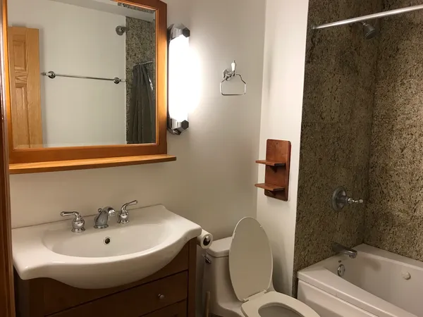 $2,350 | 195 North Harbor Drive, Unit 207, Chicago, IL 60601