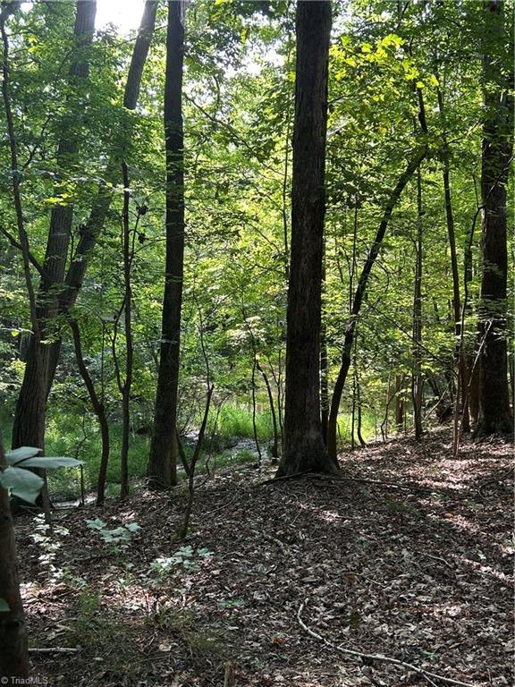 0 Jewell Road Reidsville, NC 27320 - Photo 3 of 7 Gallery Image 3
