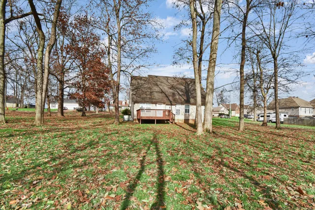 a view of yard with tree