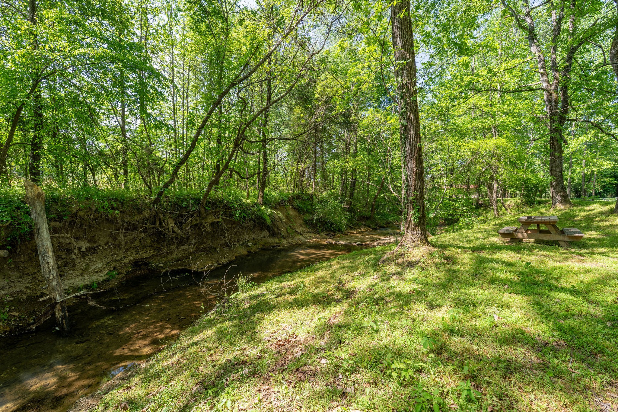 6901 Pumping Station Road Cypress Inn, TN 38452 - Photo 16 of 75