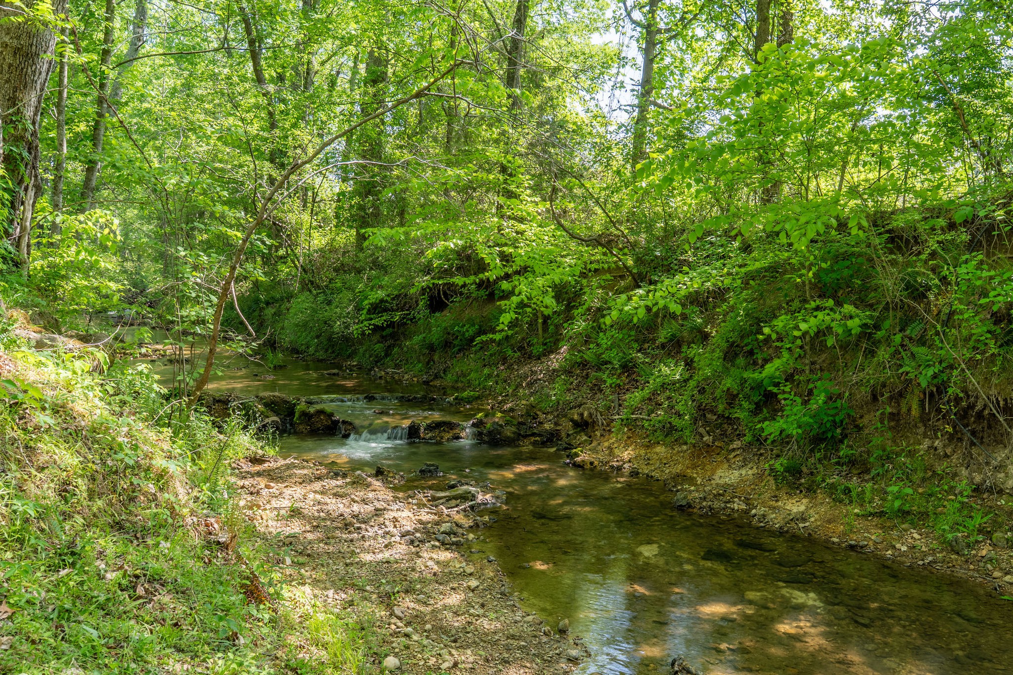 6901 Pumping Station Road Cypress Inn, TN 38452 - Photo 17 of 75