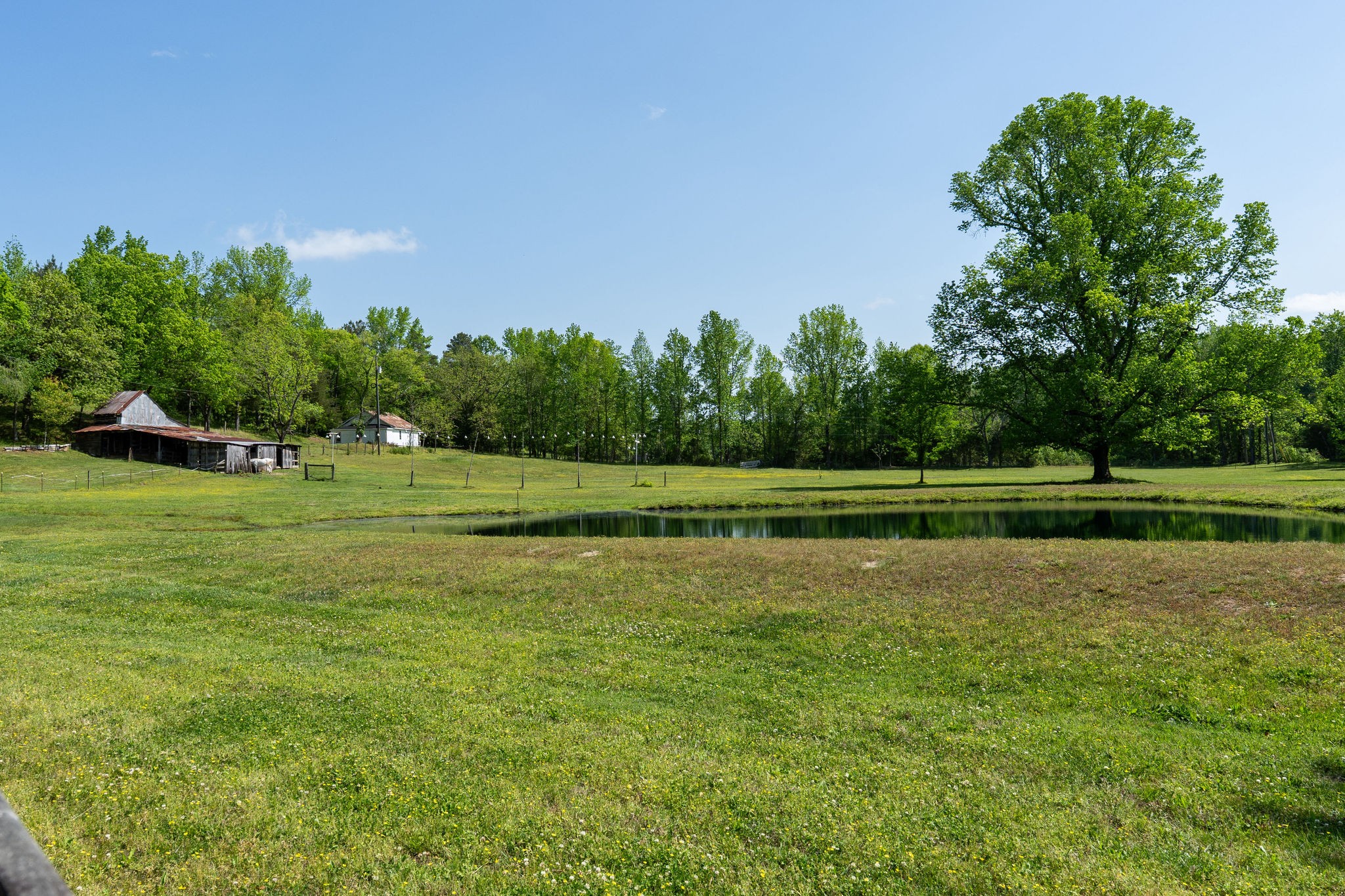 6901 Pumping Station Road Cypress Inn, TN 38452 - Photo 20 of 75