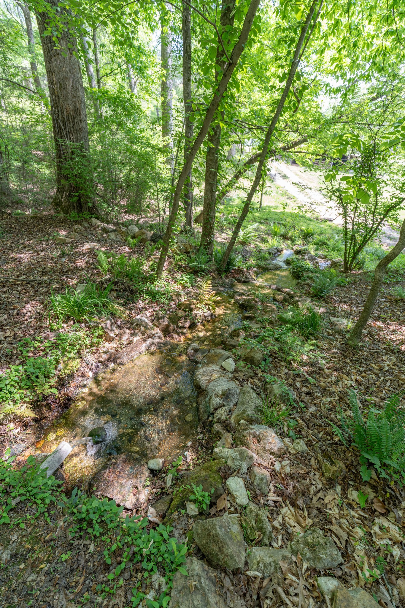 6901 Pumping Station Road Cypress Inn, TN 38452 - Photo 55 of 75