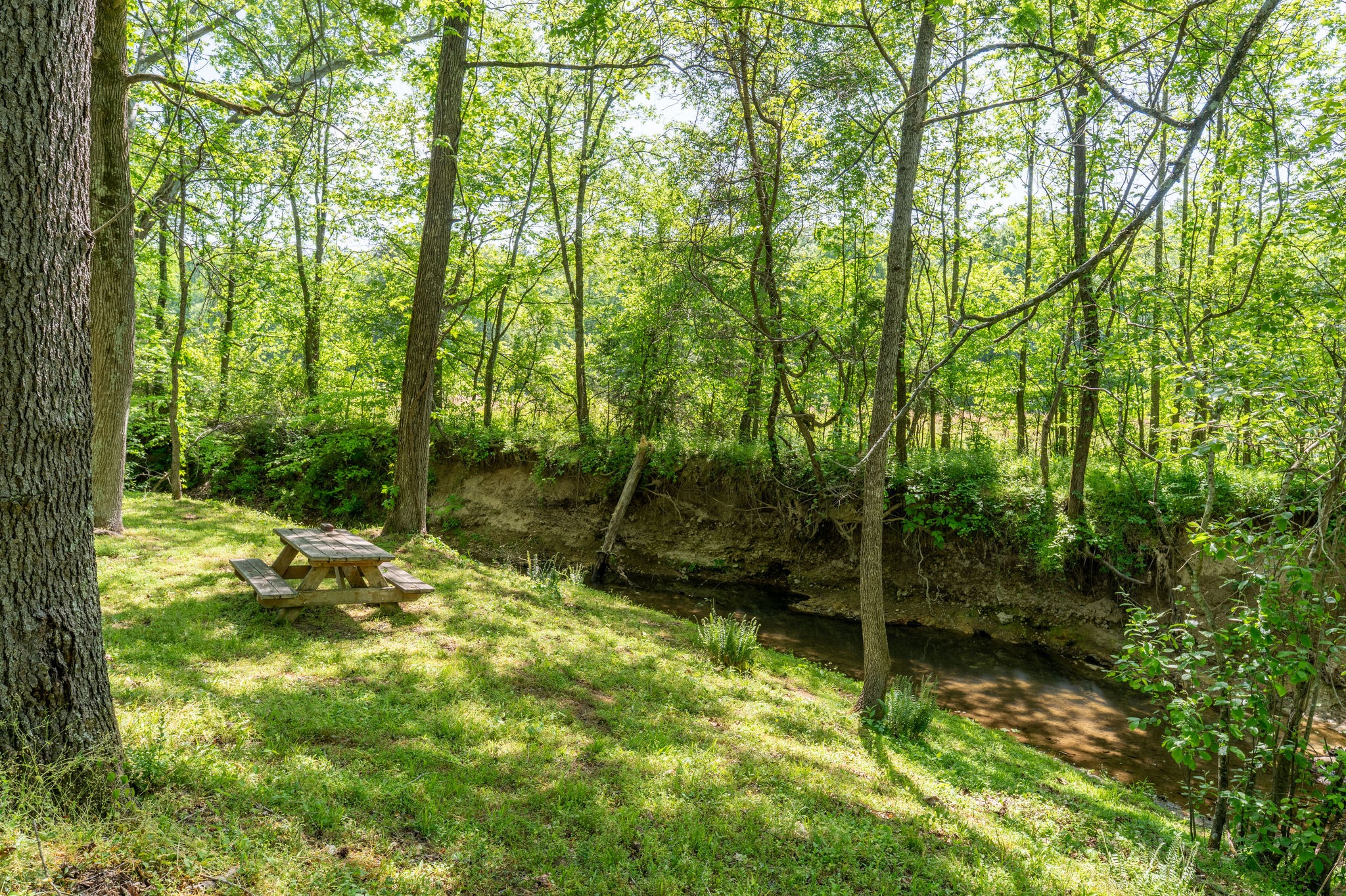 6901 Pumping Station Road Cypress Inn, TN 38452 - Photo 64 of 75