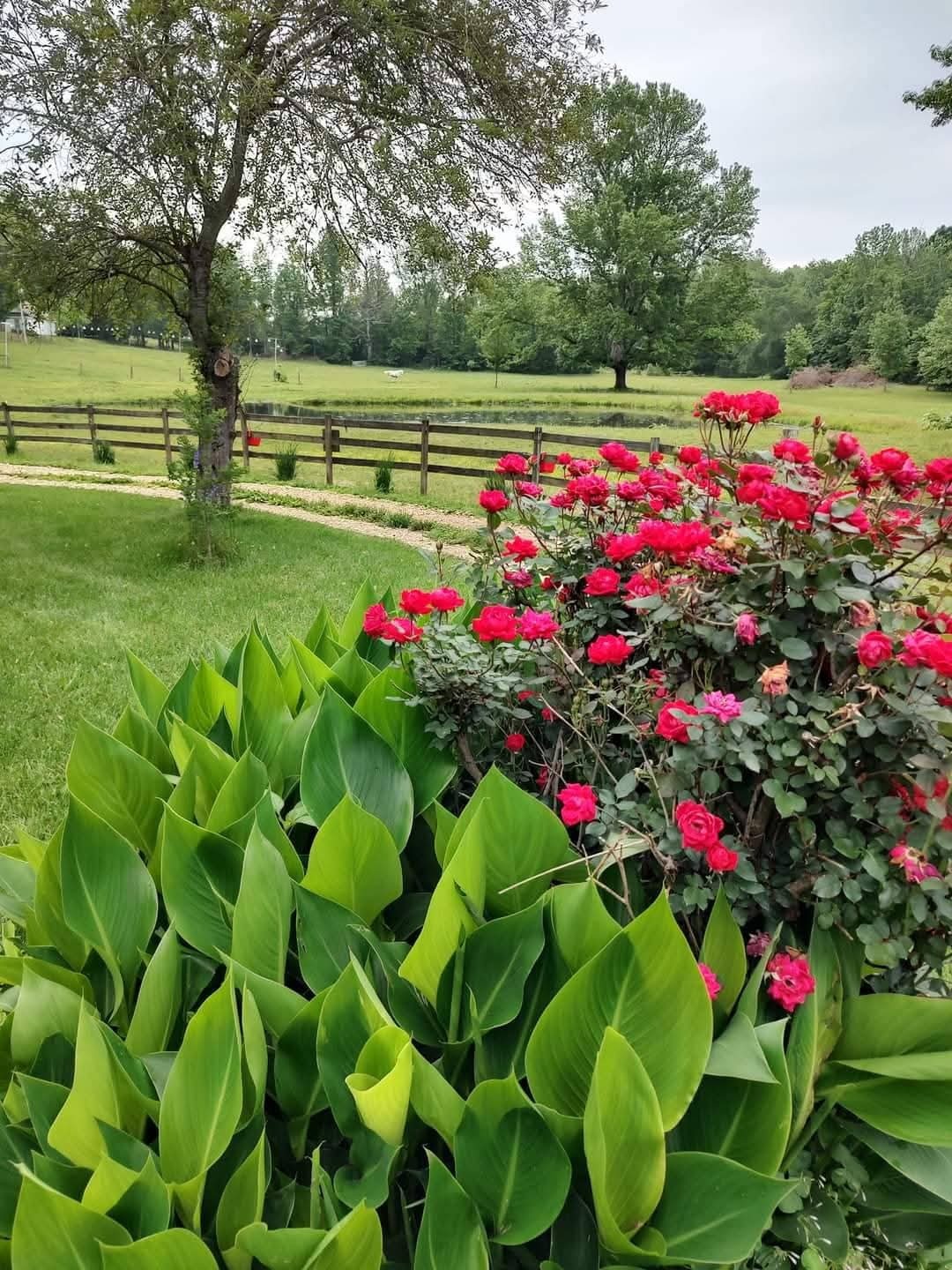 6901 Pumping Station Road Cypress Inn, TN 38452 - Photo 71 of 75