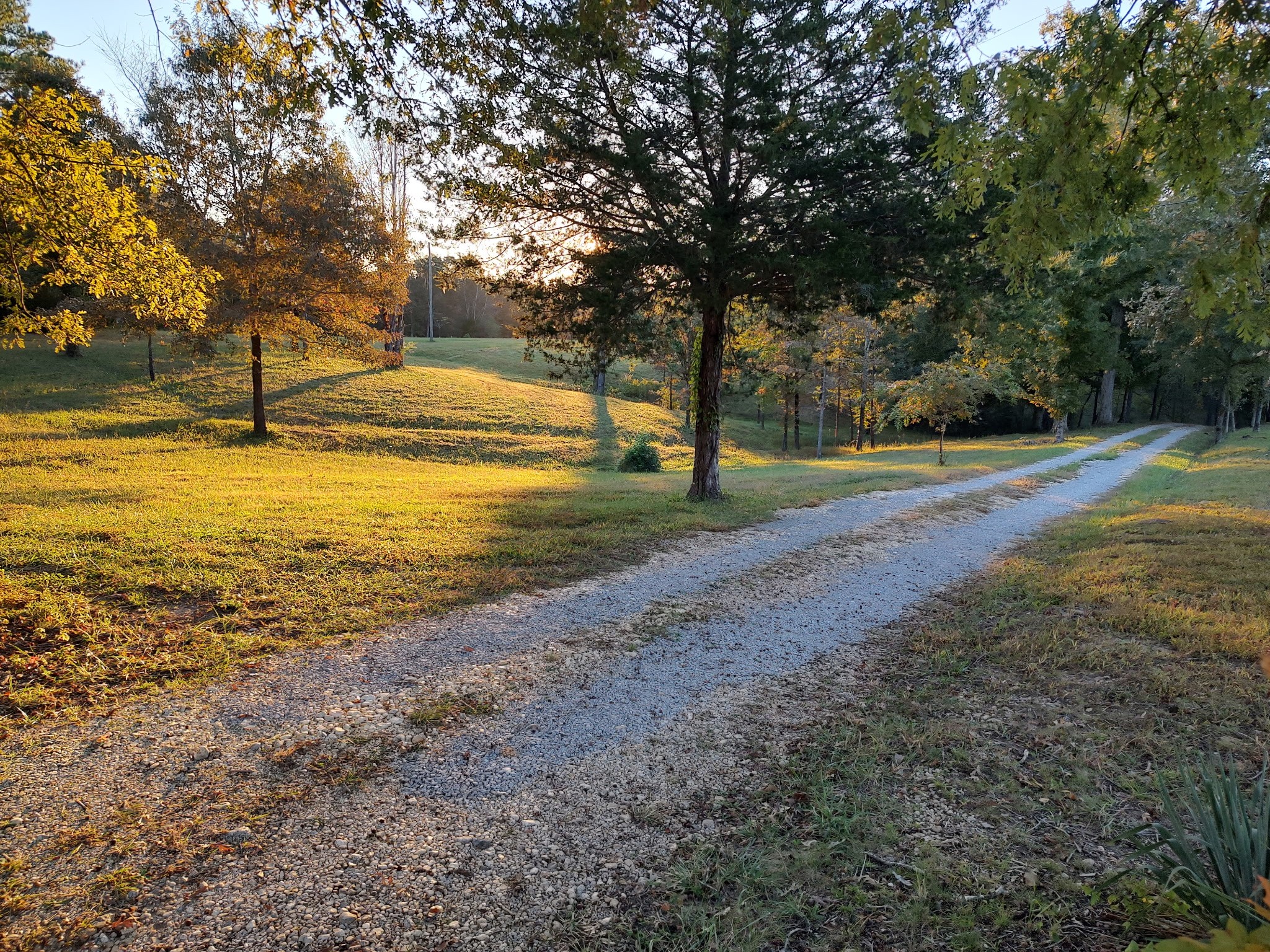 6901 Pumping Station Road Cypress Inn, TN 38452 - Photo 73 of 75