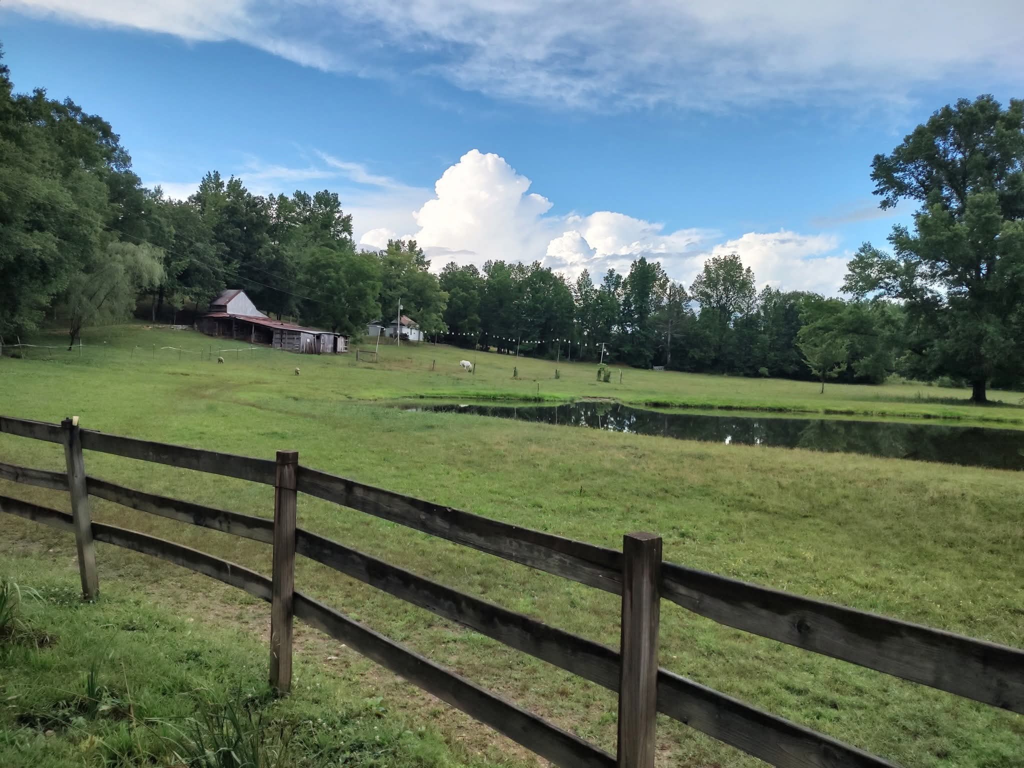 6901 Pumping Station Road Cypress Inn, TN 38452 - Photo 75 of 75