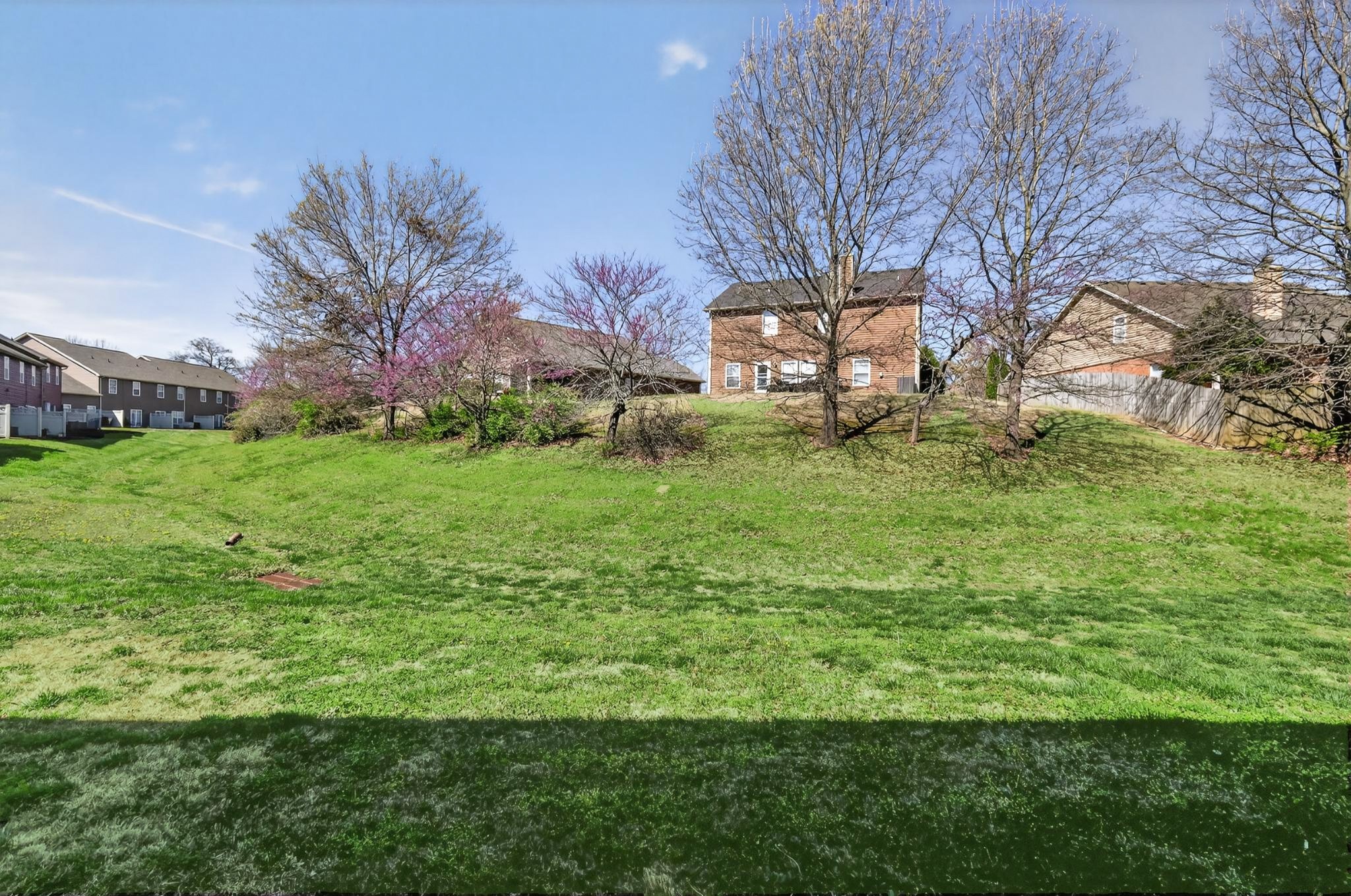 8333 Rossi Road Brentwood, TN 37027 - Photo 20 of 20 a backyard of a house with lots of green space