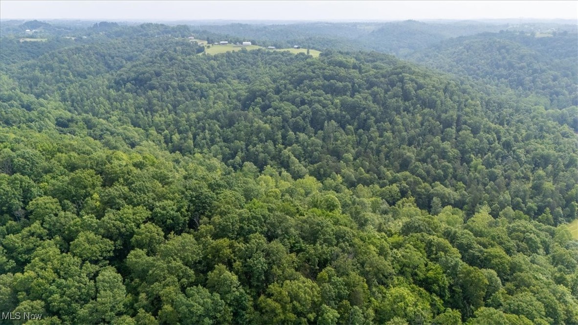 Sandy Run Road Elizabeth, WV 26143 - Photo 13 of 31 Aerial view of a heavily wooded area