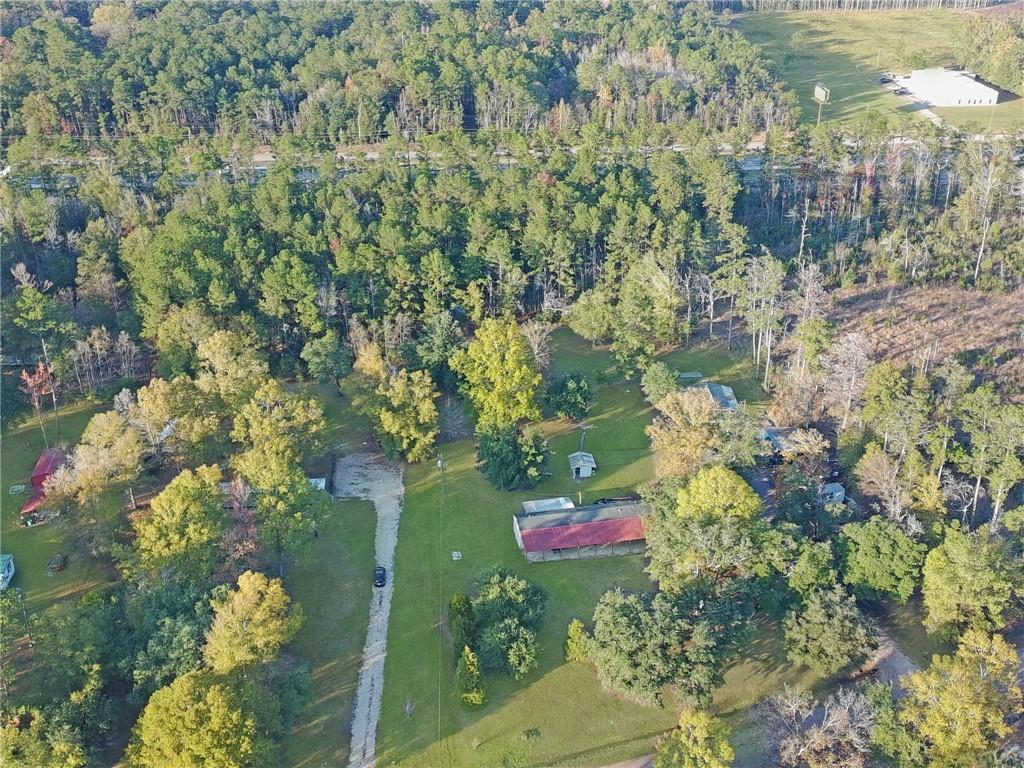 28409 James Chapel Road South Holden, LA 70744 - Photo 11 of 12