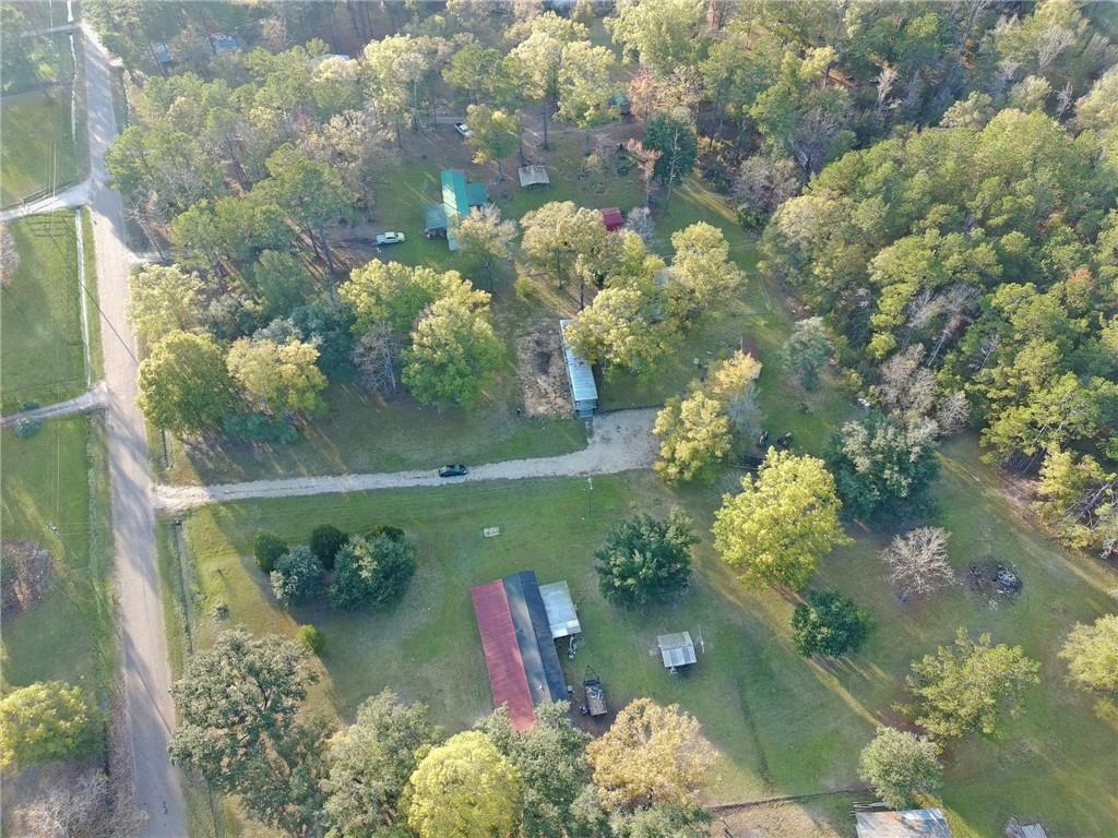 28409 James Chapel Road South Holden, LA 70744 - Photo 4 of 12