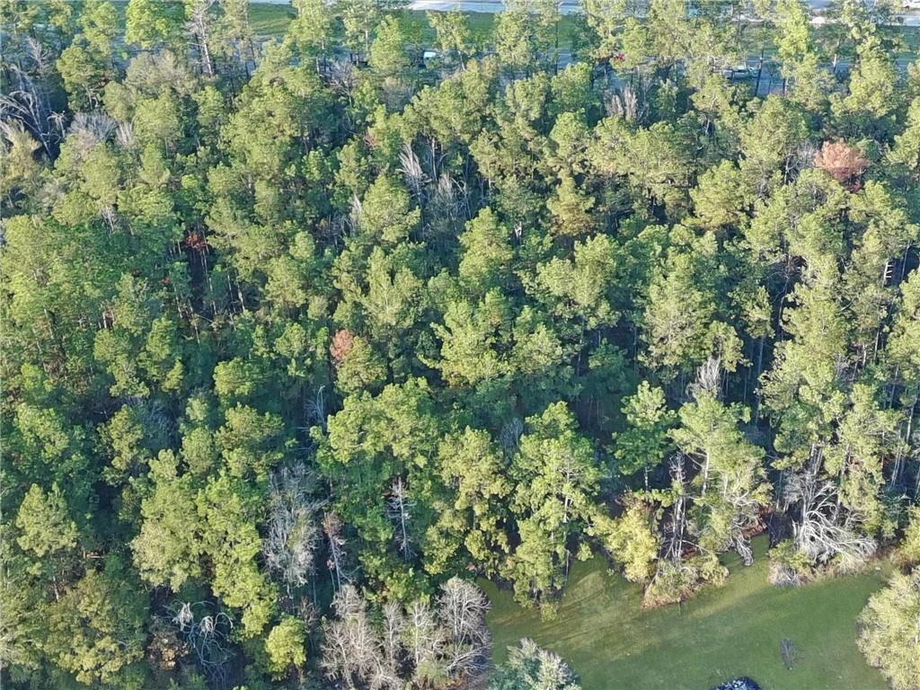 28409 James Chapel Road South Holden, LA 70744 - Photo 9 of 12